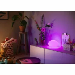 Lampe de table Philips Hue Flourish LED Blanc, 1 lumière, Changeur de couleurs