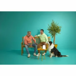 Lampe de table Philips WiZ Portable LED Blanc, 1 lumière, Changeur de couleurs