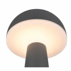 Lampe de table Reality FUNGO LED Anthracite, 1 lumière