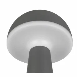 Lampe de table Reality FUNGO LED Anthracite, 1 lumière