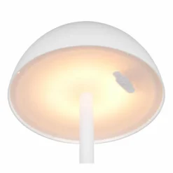 Lampe de table Reality RICARDO LED Blanc, 1 lumière