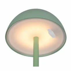 Lampe de table Reality RICARDO LED Vert, 1 lumière
