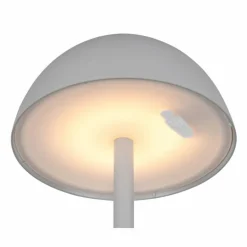 Lampe de table Reality RICARDO LED Gris, 1 lumière