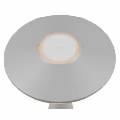 Lampe de table Reality TORREZ LED Gris, 1 lumière