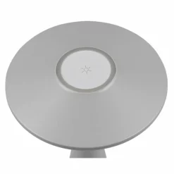 Lampe de table Reality TORREZ LED Gris, 1 lumière