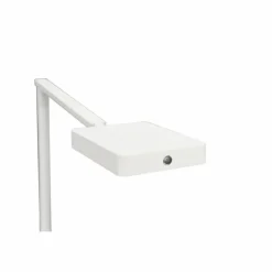 Lampe de table Trio Pavia LED Blanc, 1 lumière