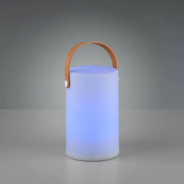 Lampe d'extérieur Reality ARUBA LED Blanc, 1 lumière, Changeur de couleurs