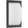 Lampe murale d'extérieur LCD Anthracite, 1 lumière