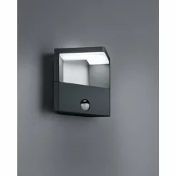 Lampe murale d'extérieur Trio Ganges LED Anthracite, 1 lumière, Détecteur de mouvement
