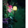 lampe solaire Eglo ANANAS LED Noir, 1 lumière