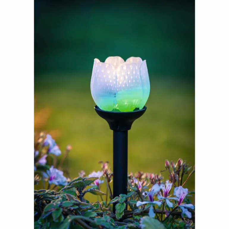 lampe solaire Eglo BLÜTE LED Noir, 2 lumières, Changeur de couleurs