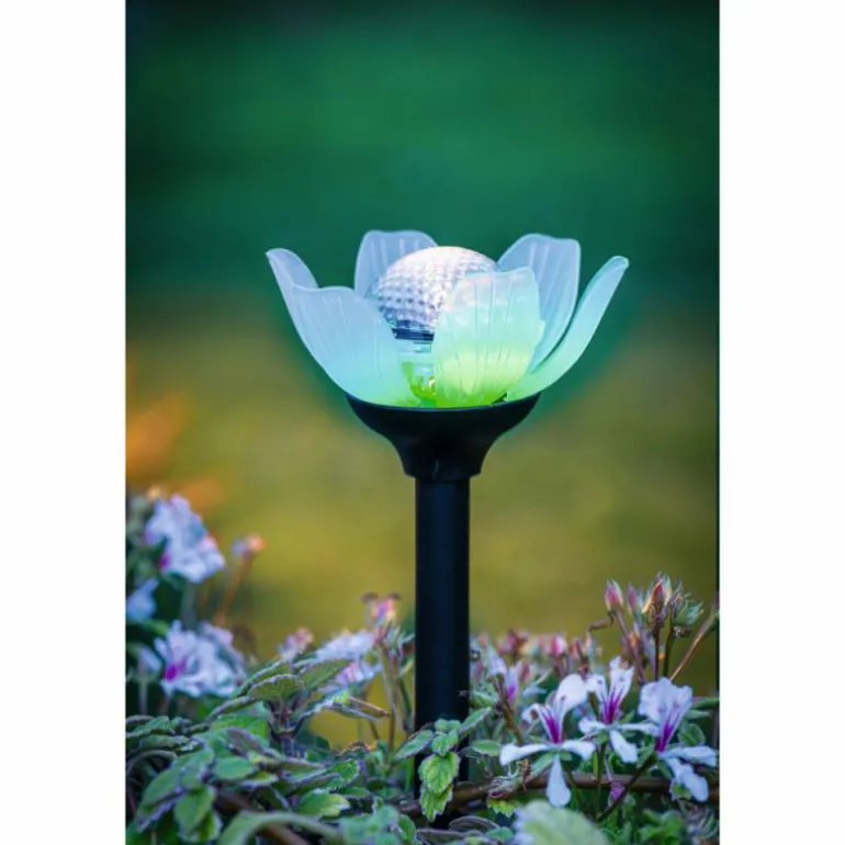 lampe solaire Eglo BLÜTE LED Noir, 2 lumières, Changeur de couleurs