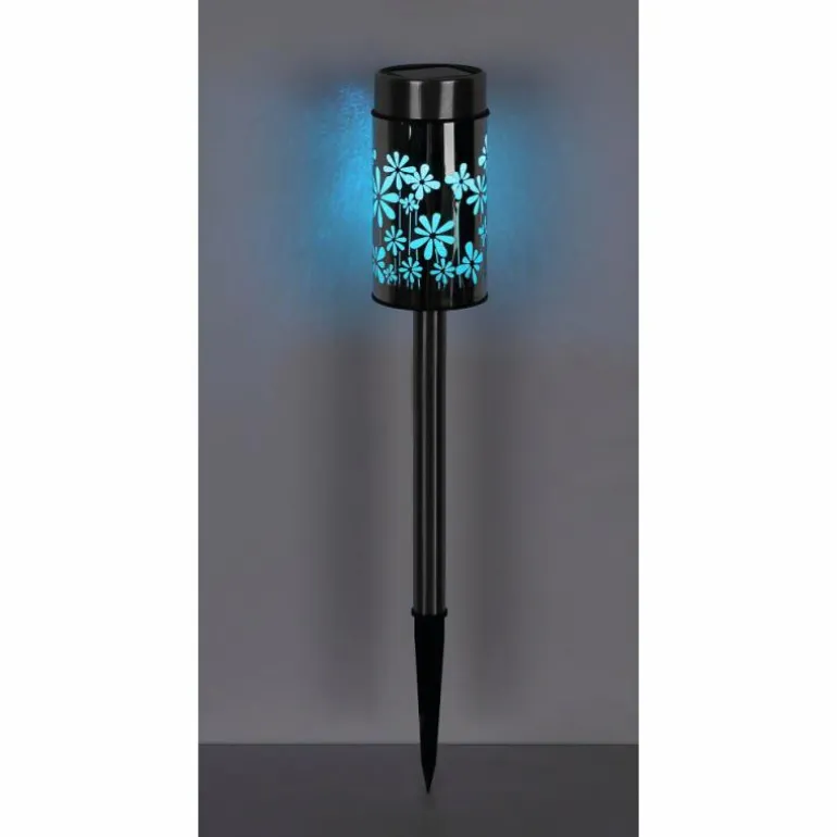 lampe solaire Globo LED Acier inoxydable, 2 lumières, Changeur de couleurs