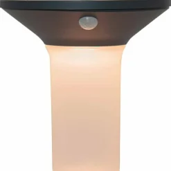 Lampe solaires Eglo CORBEZZOLA LED Gris, 6 lumières, Détecteur de mouvement