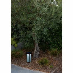 Lampe solaires Lutec Dias LED Noir, 1 lumière, Détecteur de mouvement, Changeur de couleurs