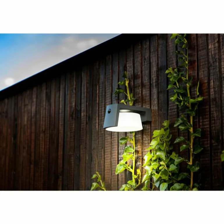 Lampe solaires Lutec Moon LED Anthracite, 1 lumière, Détecteur de mouvement