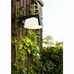 Lampe solaires Lutec Moon LED Anthracite, 1 lumière, Détecteur de mouvement