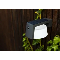 Lampe solaires Lutec Moon LED Anthracite, 1 lumière, Détecteur de mouvement