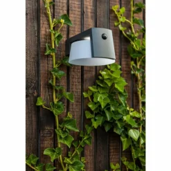 Lampe solaires Lutec Moon LED Anthracite, 1 lumière, Détecteur de mouvement