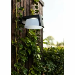 Lampe solaires Lutec Moon LED Anthracite, 1 lumière, Détecteur de mouvement