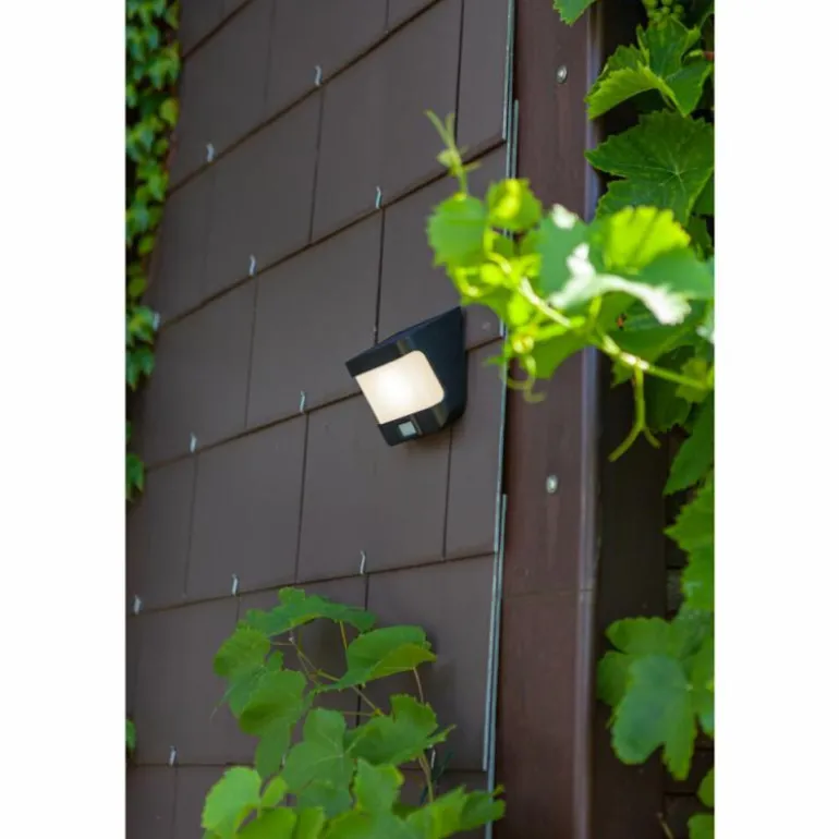Lampe solaires Lutec TRY LED Anthracite, 1 lumière, Détecteur de mouvement