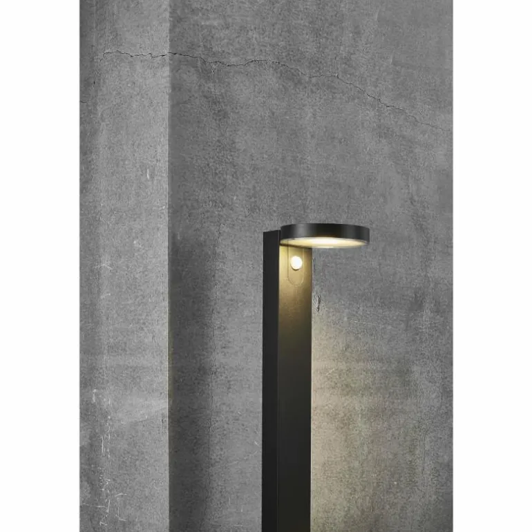 Lampe solaires Nordlux RICA LED Noir, 1 lumière
