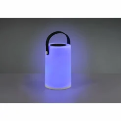 Lampe solaires Reality Garcia LED Blanc, 1 lumière, Changeur de couleurs