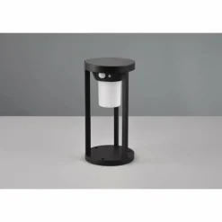 Lampe solaires Trio Carmo LED Noir, 1 lumière, Détecteur de mouvement