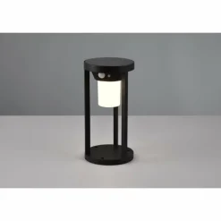 Lampe solaires Trio Carmo LED Noir, 1 lumière, Détecteur de mouvement