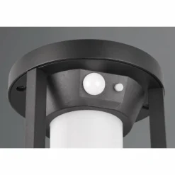 Lampe solaires Trio Carmo LED Noir, 1 lumière, Détecteur de mouvement