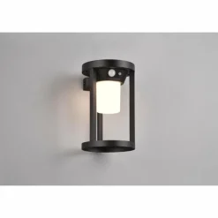 Lampe solaires Trio Carmo LED Noir, 1 lumière, Détecteur de mouvement