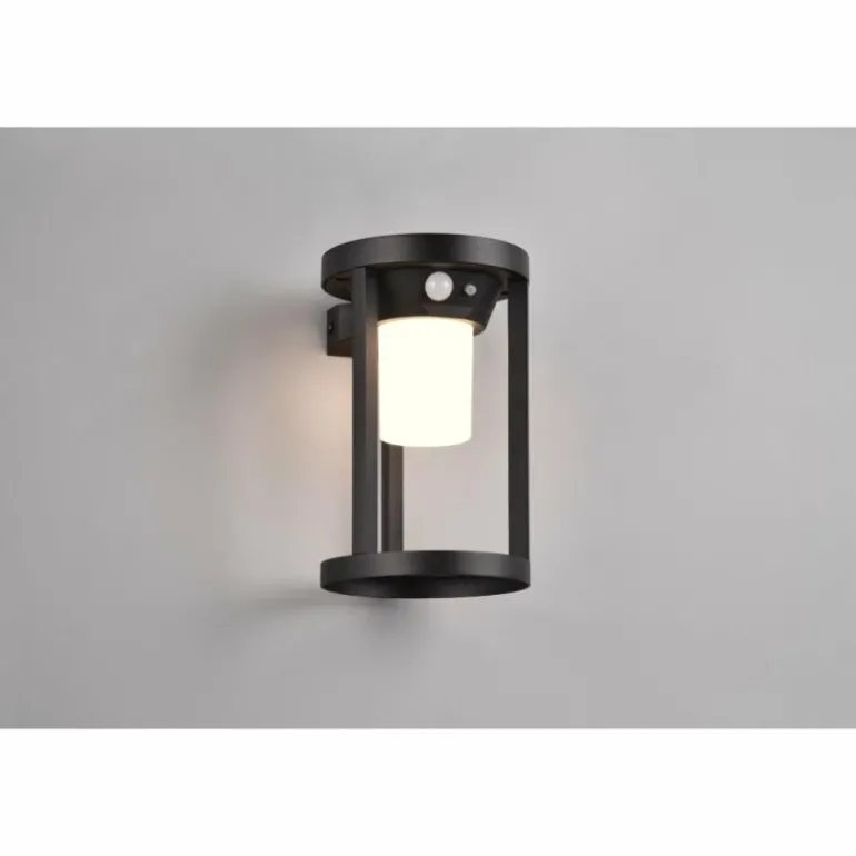 Lampe solaires Trio Carmo LED Noir, 1 lumière, Détecteur de mouvement