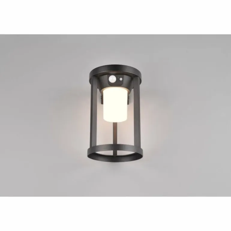 Lampe solaires Trio Carmo LED Noir, 1 lumière, Détecteur de mouvement