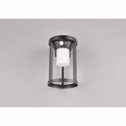 Lampe solaires Trio Carmo LED Noir, 1 lumière, Détecteur de mouvement