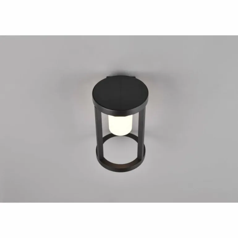 Lampe solaires Trio Carmo LED Noir, 1 lumière, Détecteur de mouvement