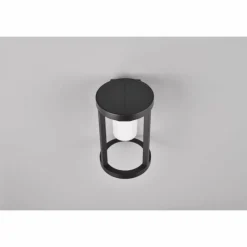 Lampe solaires Trio Carmo LED Noir, 1 lumière, Détecteur de mouvement