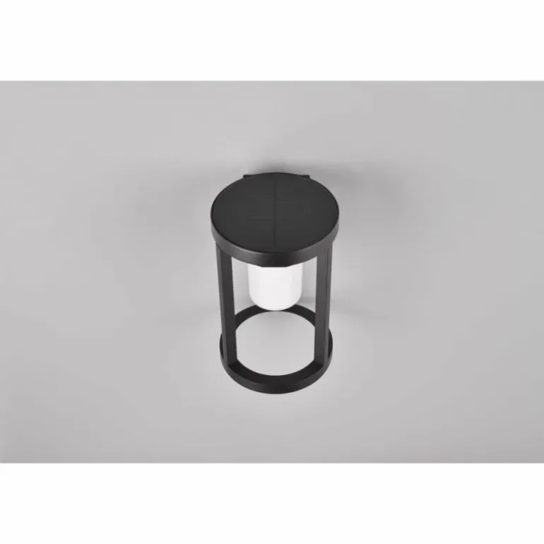 Lampe solaires Trio Carmo LED Noir, 1 lumière, Détecteur de mouvement