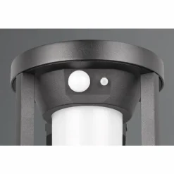 Lampe solaires Trio Carmo LED Noir, 1 lumière, Détecteur de mouvement