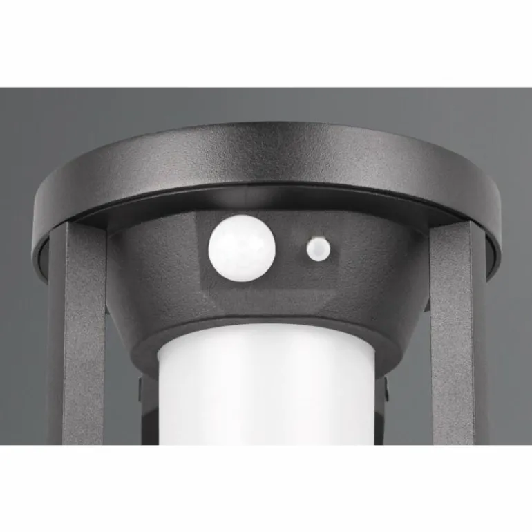 Lampe solaires Trio Carmo LED Noir, 1 lumière, Détecteur de mouvement