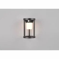 Lampe solaires Trio Carmo LED Noir, 1 lumière, Détecteur de mouvement