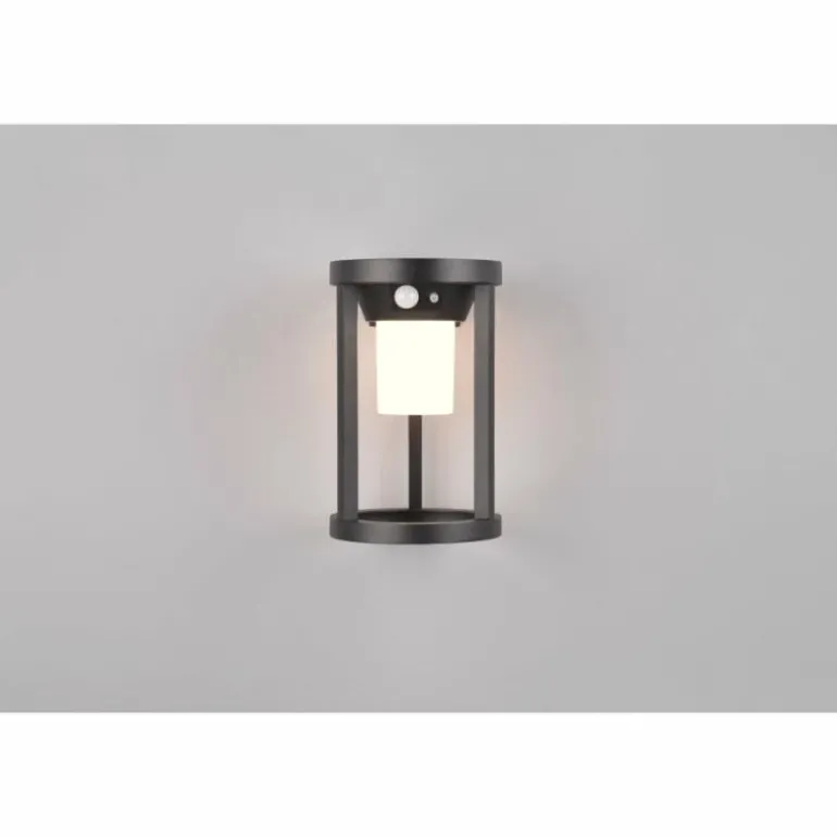 Lampe solaires Trio Carmo LED Noir, 1 lumière, Détecteur de mouvement