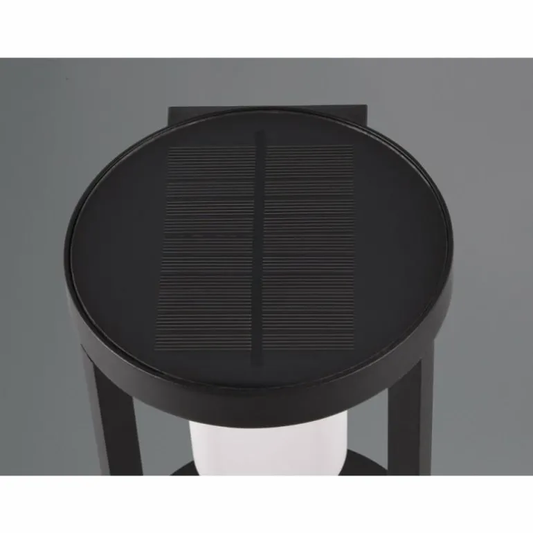 Lampe solaires Trio Carmo LED Noir, 1 lumière, Détecteur de mouvement