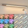 lampes pour bandeaux Raivo LED Noir, Argenté, 1 lumière, Télécommandes, Changeur de couleurs