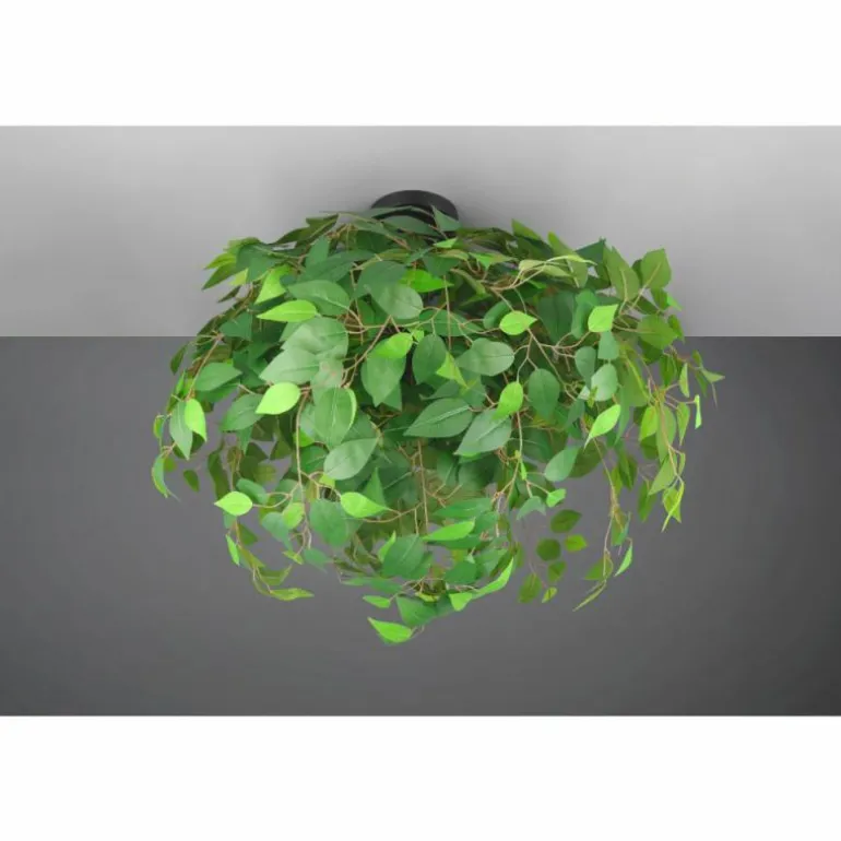 Leavy Plafonnier Luminaires Reality Noir, 3 lumières