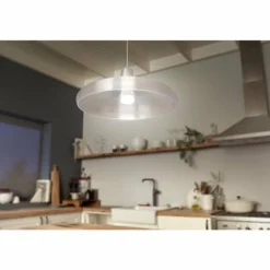 LED E27 15,5 Watt 2200 - 6500 Kelvin 1100 Lumen Philips Hue White