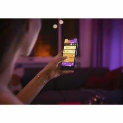 LED E27 15 Watt 2200 - 6500 Kelvin 1200 Lumen Philips Hue White & Color Ambiance