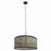 Light Suspension Luminaires Steinhauer Noir, 1 lumière