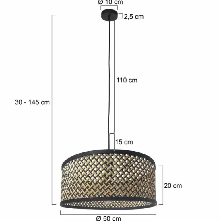 Light Suspension Luminaires Steinhauer Noir, 1 lumière