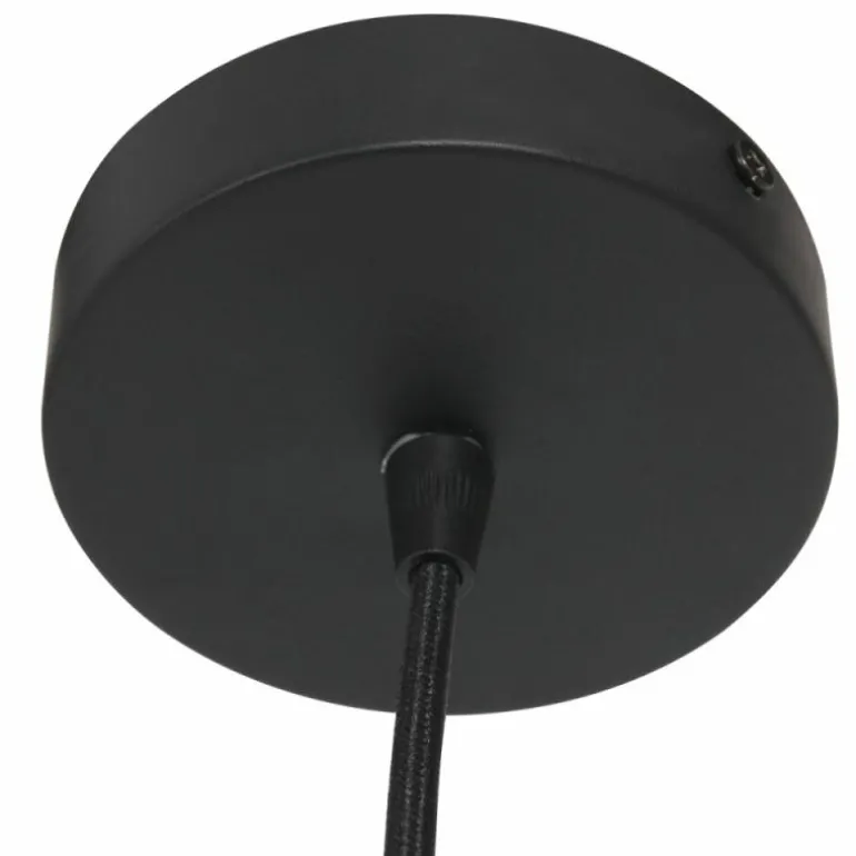 Light Suspension Luminaires Steinhauer Noir, 1 lumière