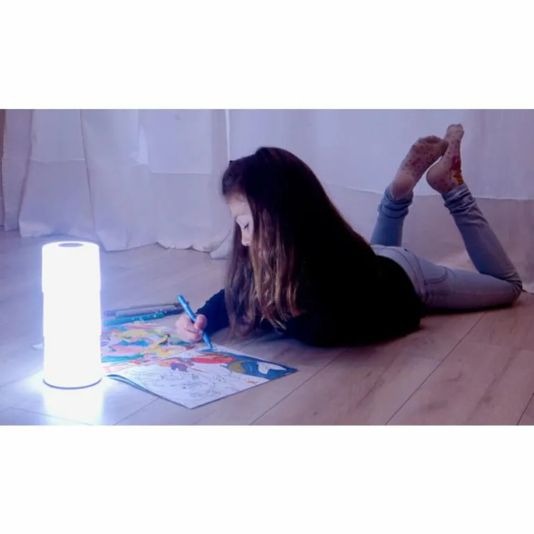 Lot de 2 lampes solaires Lutec NOMA LED Blanc, 2 lumières, Changeur de couleurs